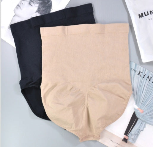 SilhouetteAir Sculpting Panties - Evolvgaia®